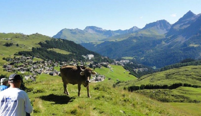 Tolle Aussicht mit Kuh Tolle Aussicht mit Kuh